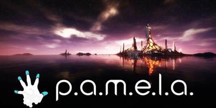 P.A.M.E.L.A.